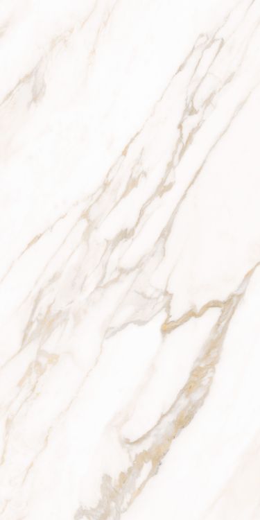 Classy Warm White Matte 24 x 48